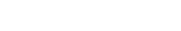 Game Boy Color