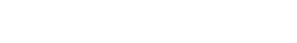 Nintendo DS