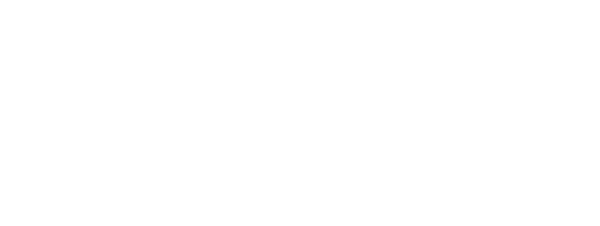 NES