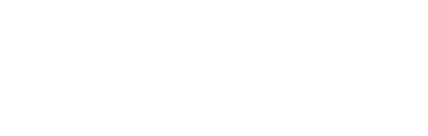 Steam