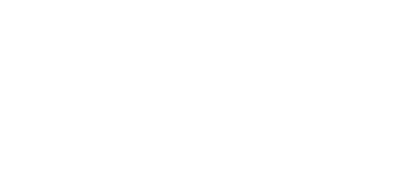 Wii